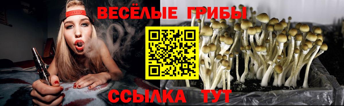 Псилоцибиновые грибы прущие грибы Курганинск